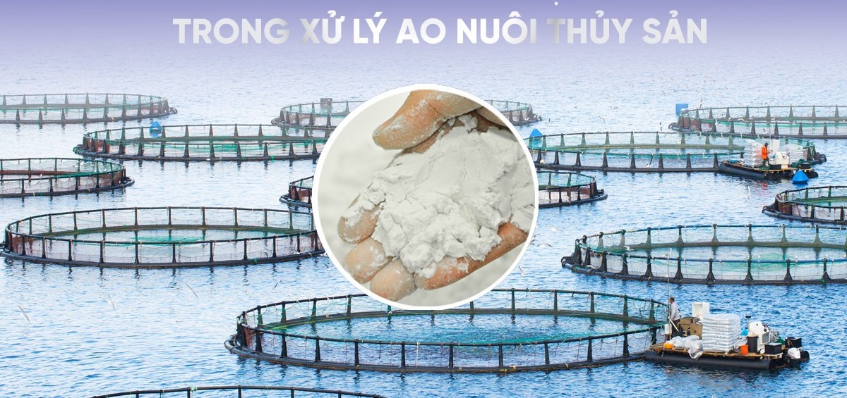 diatomite-ung-dung-trong-xu-ly-ao-nuoi-trong-thuy-san-1